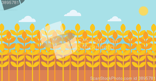 Image of Background of wheat field.