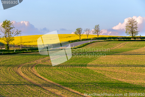 Image of Beautiful summer rural landscape