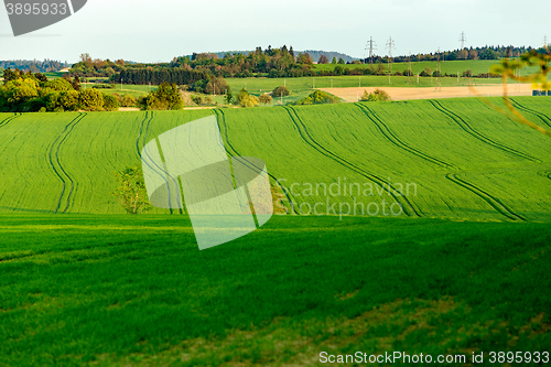 Image of Beautiful green sping rural landscape