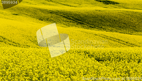 Image of Beautiful summer rural landscape