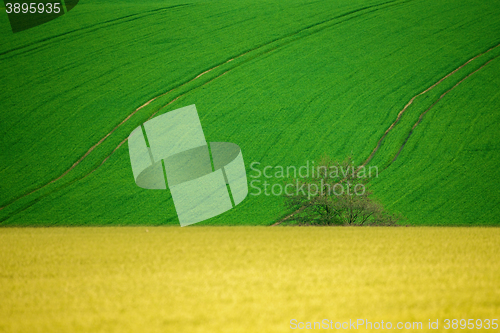 Image of Beautiful summer rural landscape lines