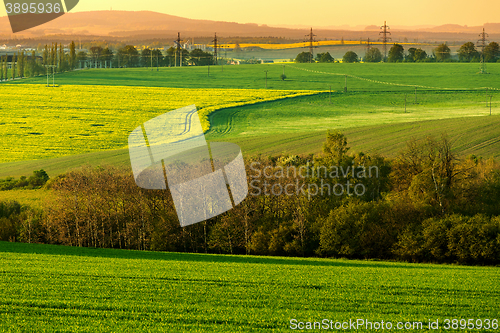 Image of Beautiful summer rural landscape