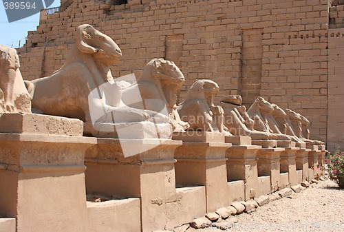 Image of Luxor temple