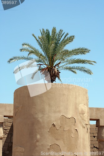 Image of Luxor temple