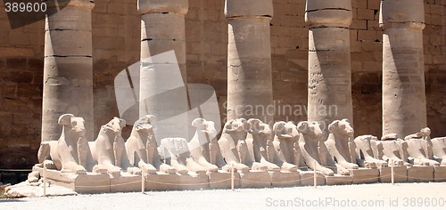 Image of Luxor temple