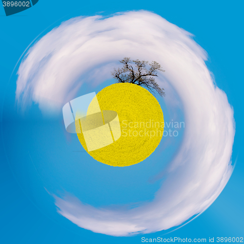 Image of little planet of summer rural rape field landscape