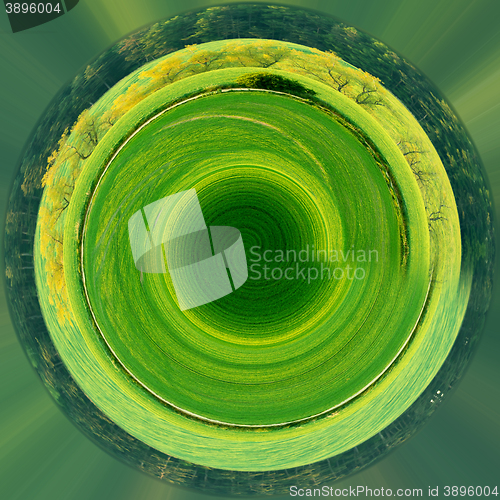 Image of Beautiful green sping rural planet