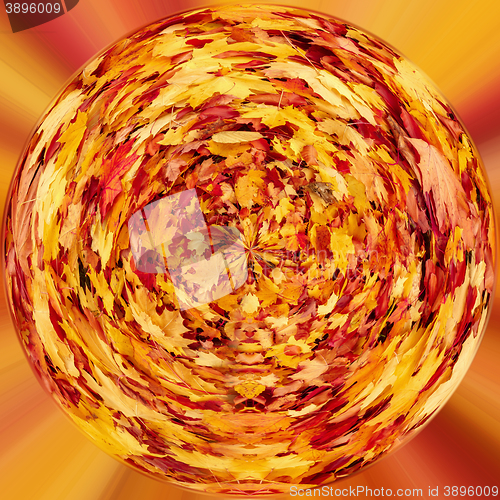 Image of tiny planet of Fall orange autumn leaves