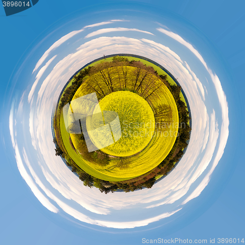 Image of little planet of Beautiful summer rural landscape