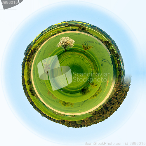 Image of Beautiful green sping rural planet