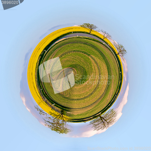 Image of little planet of Beautiful summer rural landscape