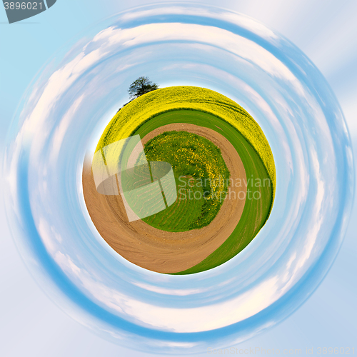 Image of Little planet with green grass ecology concept