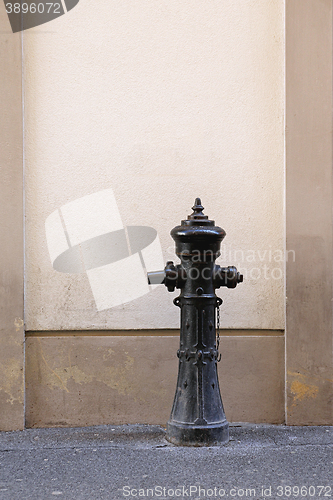 Image of Hydrant