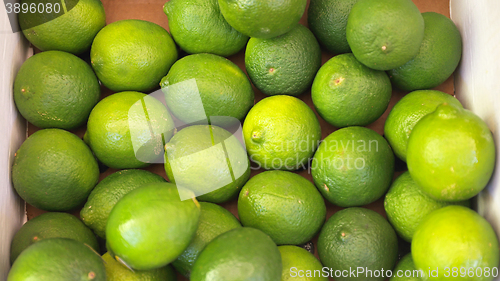 Image of Lime