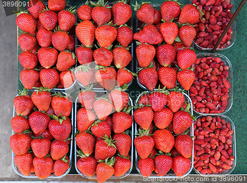 Image of Strawberries