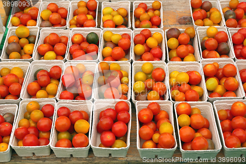 Image of Tomato