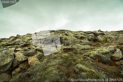 Image of Moss on rocks at a mountain