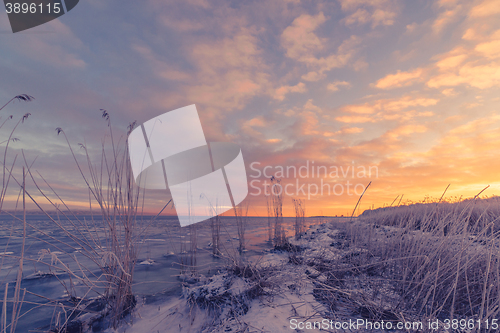 Image of Frozen sea shore in the sunrise