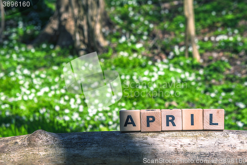 Image of April sign in a green garden