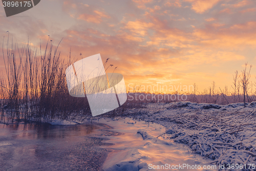 Image of Frozen lake with grass silhouettes