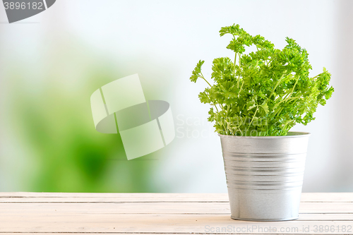 Image of Parsley in a bucket on a table