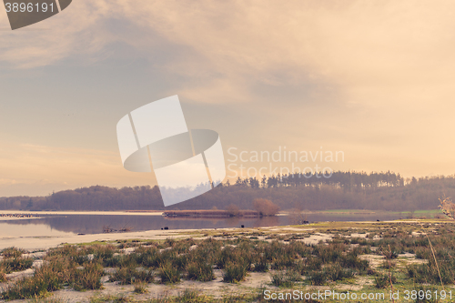 Image of Lake scenery with grass