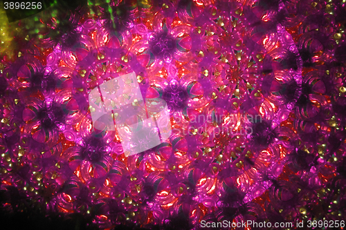 Image of color kaleidoscope texture