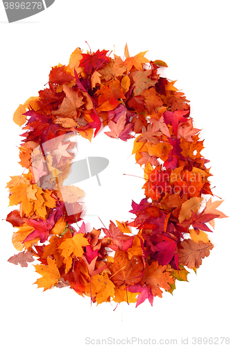 Image of alphabet sign from autumn leaf 