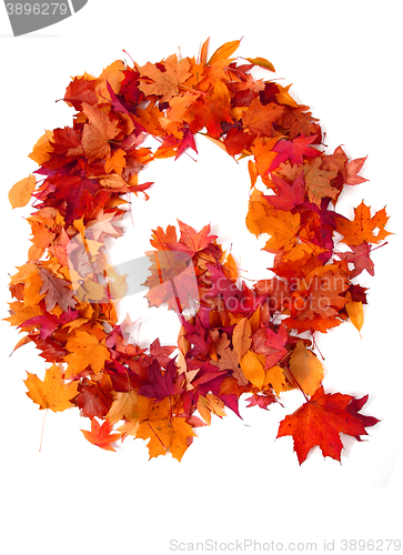 Image of alphabet sign from autumn leaf 