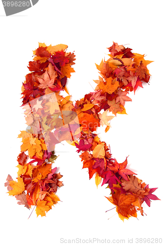 Image of alphabet sign from autumn leaf 