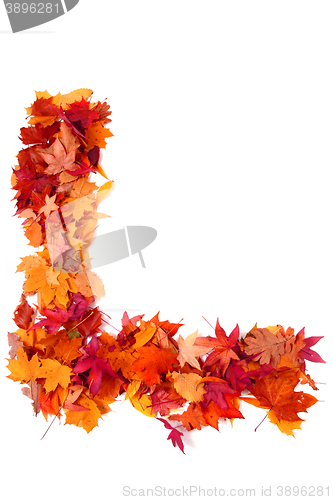 Image of alphabet sign from autumn leaf 