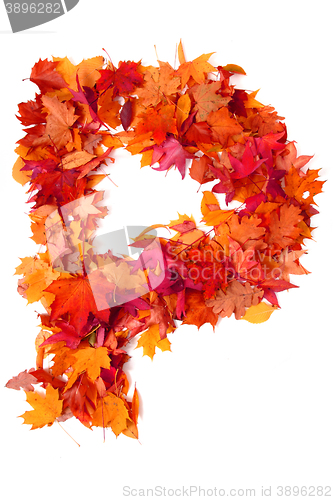 Image of alphabet sign from autumn leaf 