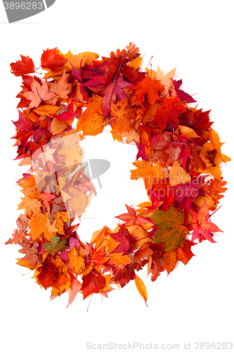 Image of alphabet sign from autumn leaf 