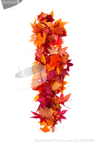 Image of alphabet sign from autumn leaf 