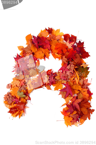 Image of alphabet sign from autumn leaf 