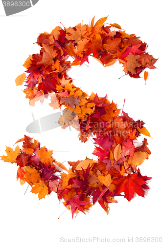 Image of alphabet sign from autumn leaf 