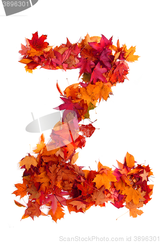 Image of alphabet sign from autumn leaf 