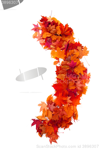 Image of alphabet sign from autumn leaf 