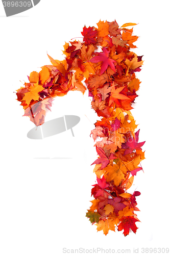 Image of alphabet sign from autumn leaf 
