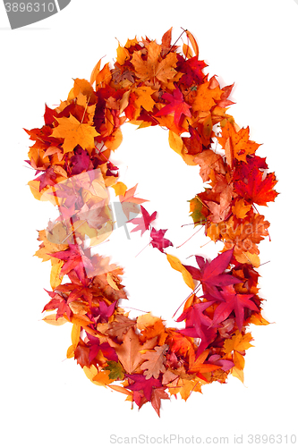 Image of alphabet sign from autumn leaf 