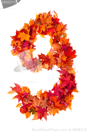 Image of alphabet sign from autumn leaf 