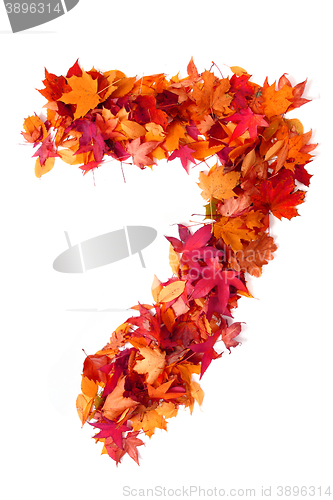 Image of alphabet sign from autumn leaf 