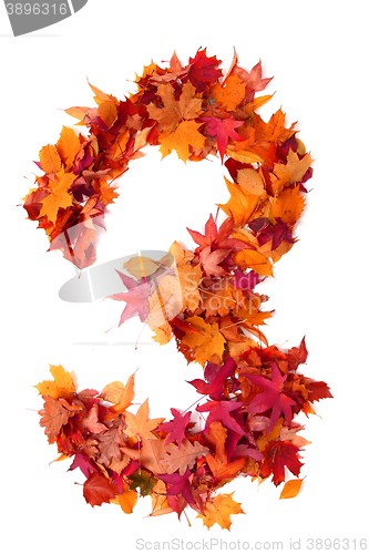 Image of alphabet sign from autumn leaf 