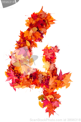 Image of alphabet sign from autumn leaf 