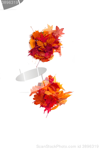 Image of alphabet sign from autumn leaf 