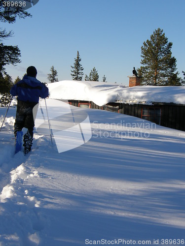 Image of winter shaddow