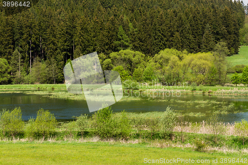 Image of Beautiful summer rural landscape