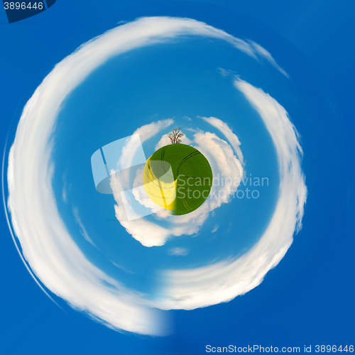 Image of little planet of Beautiful summer rural landscape