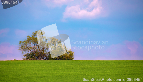 Image of Beautiful summer rural landscape