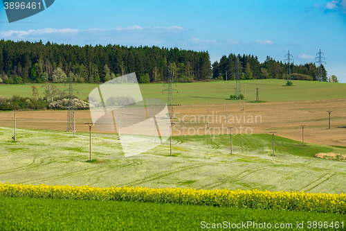 Image of Beautiful summer rural landscape